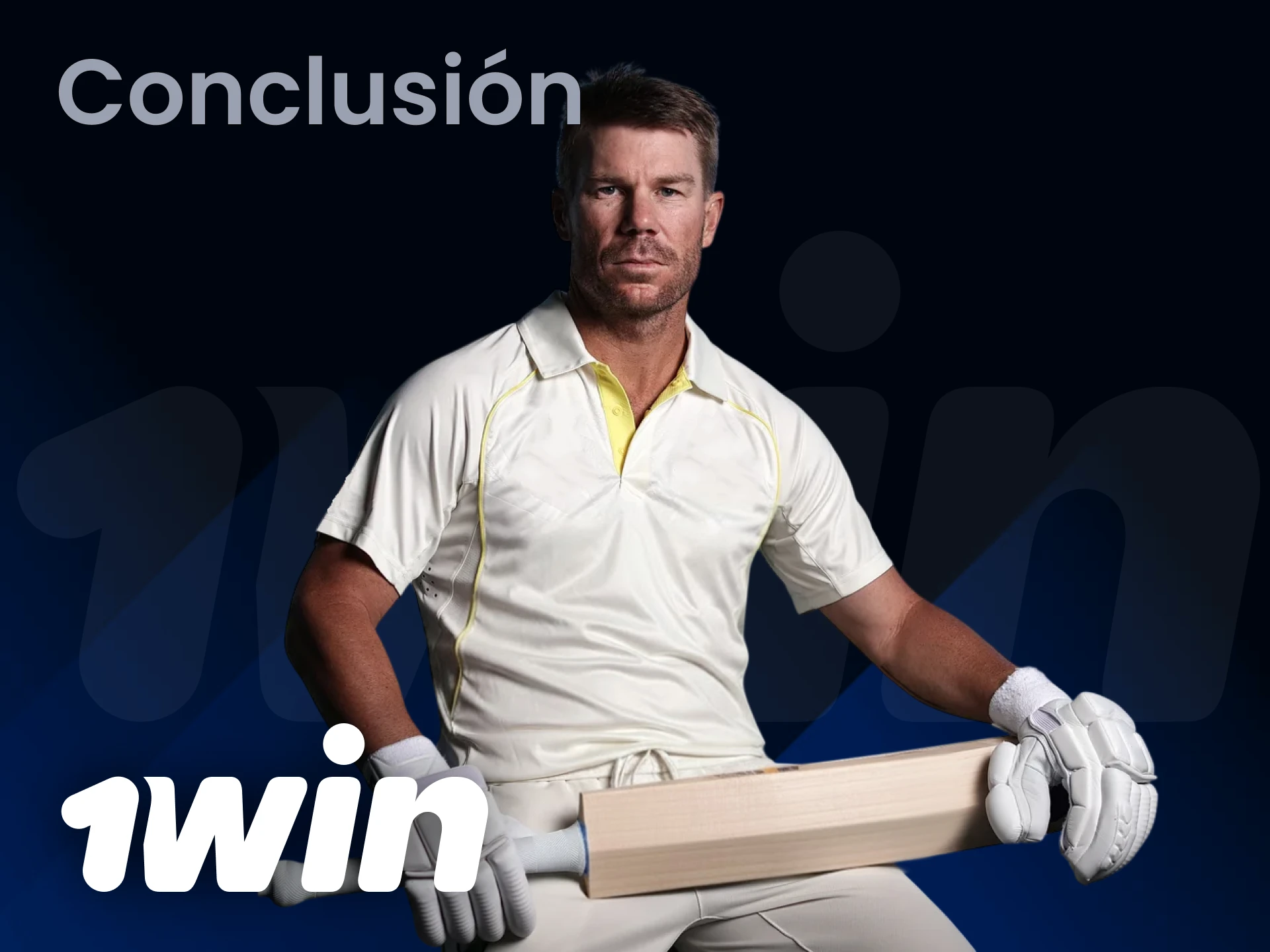 Revisa la conclusión sobre David Warner y su éxito en 1win.